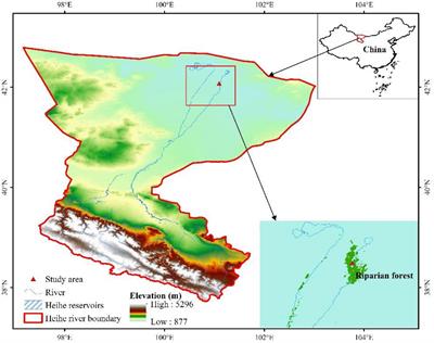 Coordination in functional traits of Populus euphratica leaves under salt stress